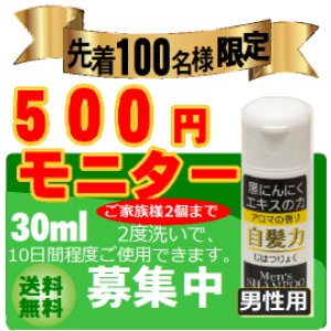 画像: 黒にんにくシャンプー　自髪力エクストラ（30ml×1本）　モニター