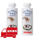 画像: 髪休息女性用2本セット（送料無料）