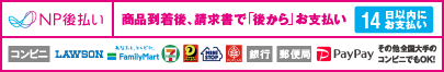 NP後払い